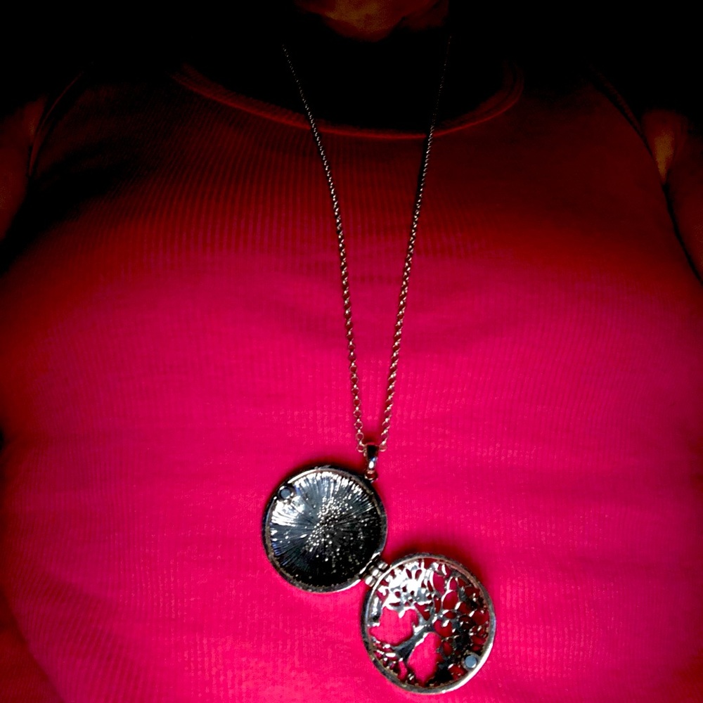 Long silver colored necklace